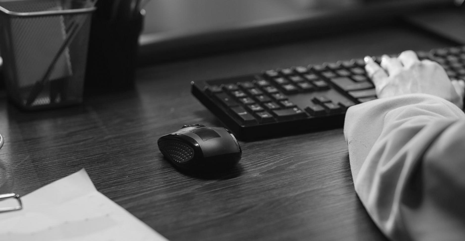 Teamkultur und Zusammenarbeit bei Doraxylpivora